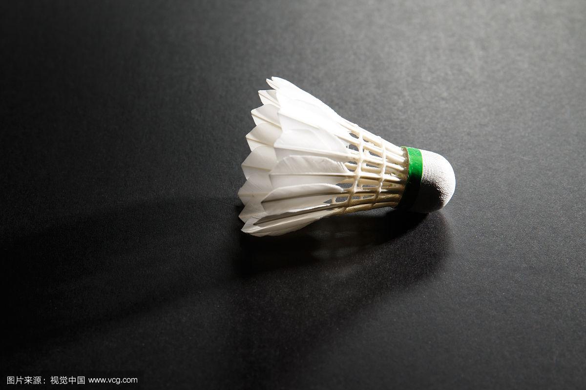 造力相得益 造力相得益